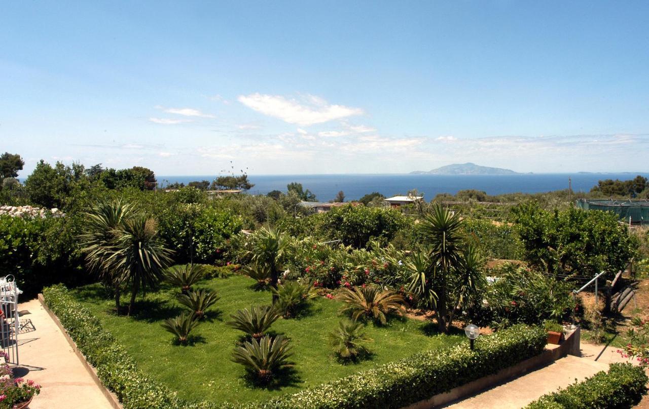 Villa Damecuta B&B Anacapri  Exterior photo