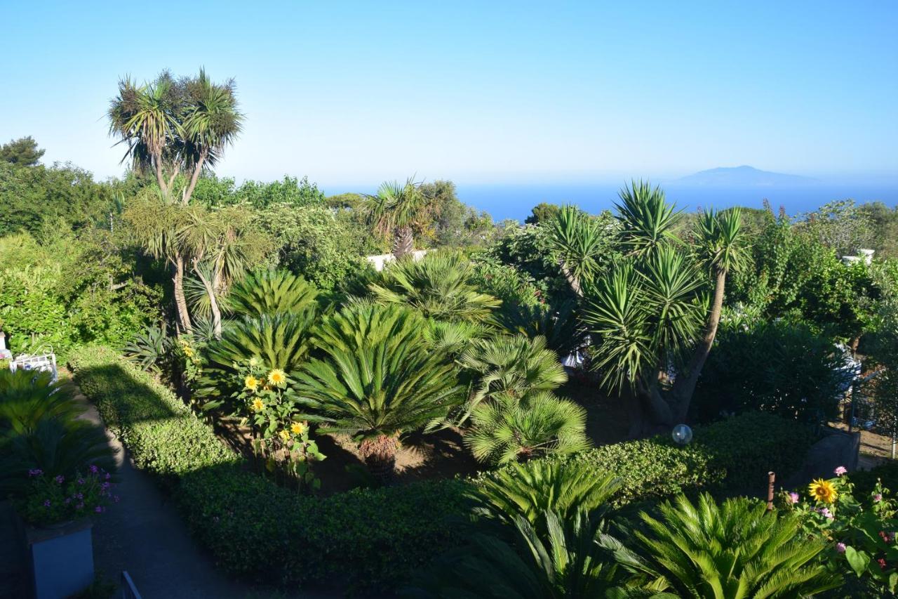 Villa Damecuta B&B Anacapri  Exterior photo
