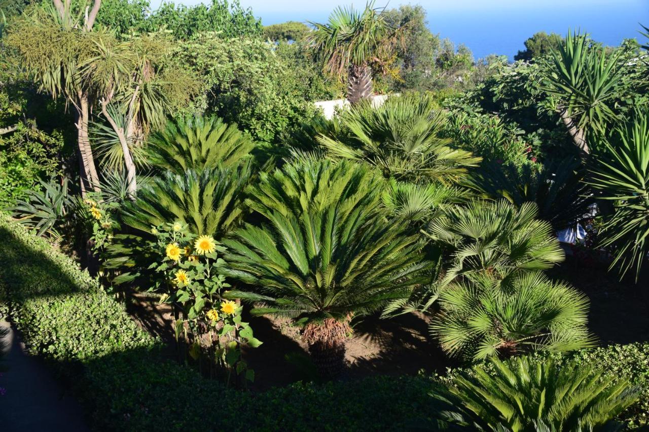 Villa Damecuta B&B Anacapri  Exterior photo