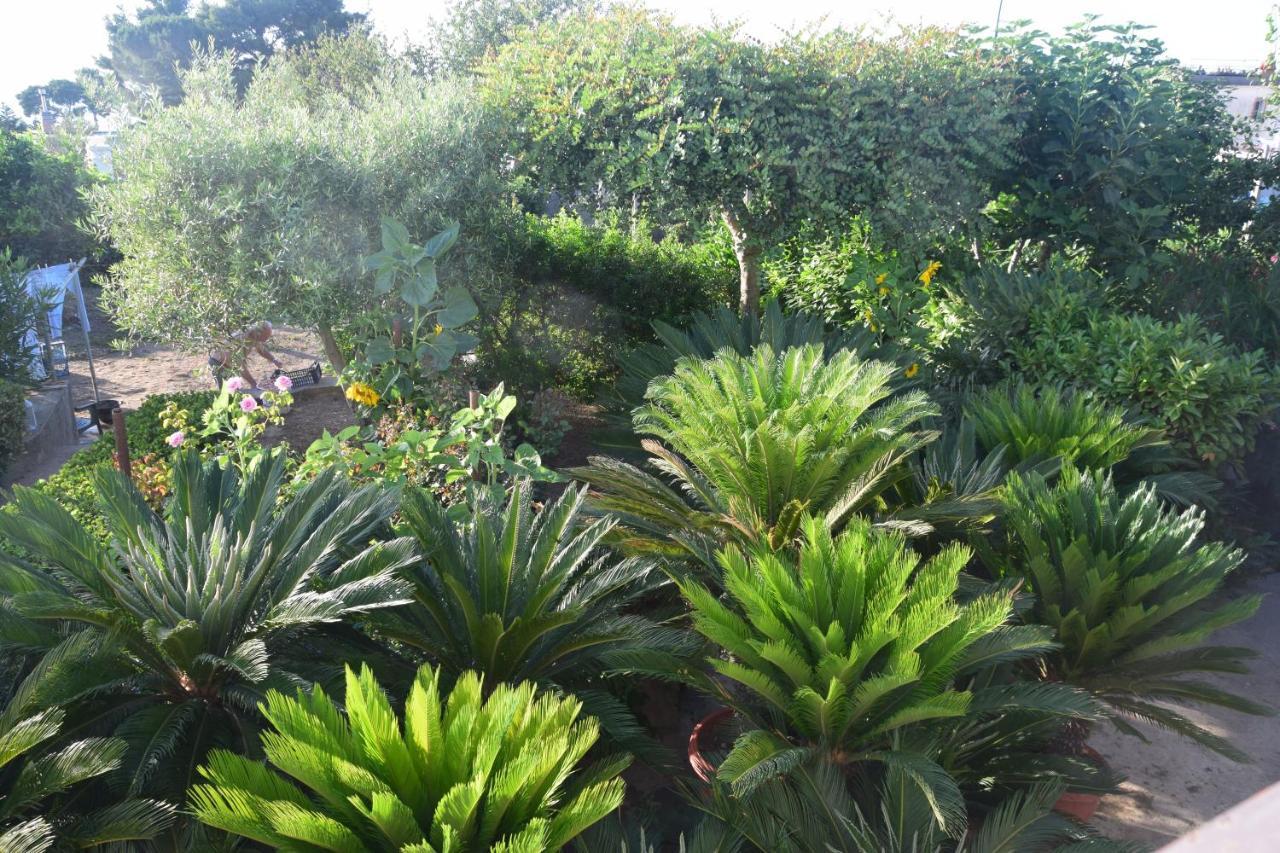 Villa Damecuta B&B Anacapri  Exterior photo